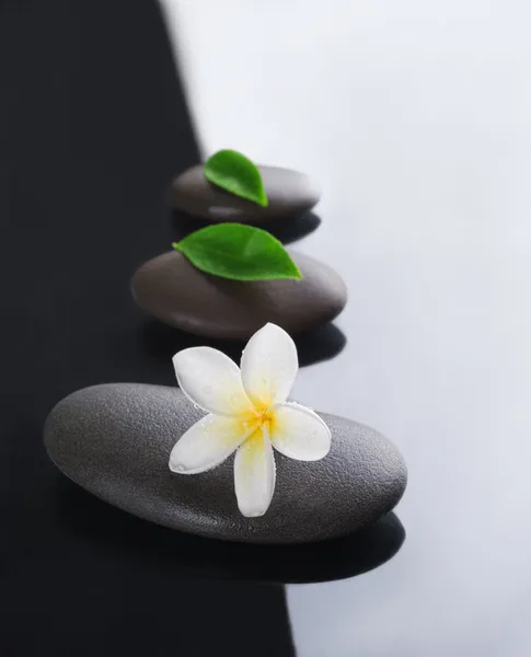 Wellness fogalma zen kő — Stock Fotó