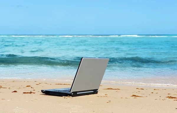 Ordenador portátil en la playa —  Fotos de Stock