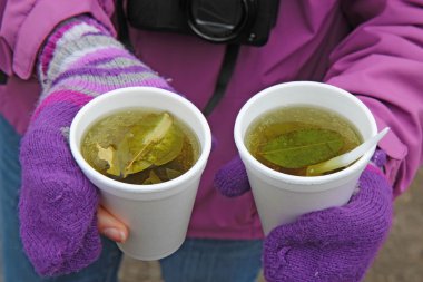 Two cups of coca tea in Ecuador clipart