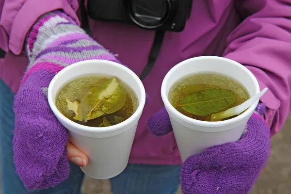Two cups of coca tea in Ecuador — Stock Photo, Image