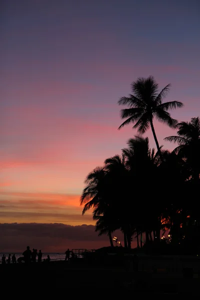 Waikiki beach, oahu, Hawaii günbatımı silhouettes — Stok fotoğraf