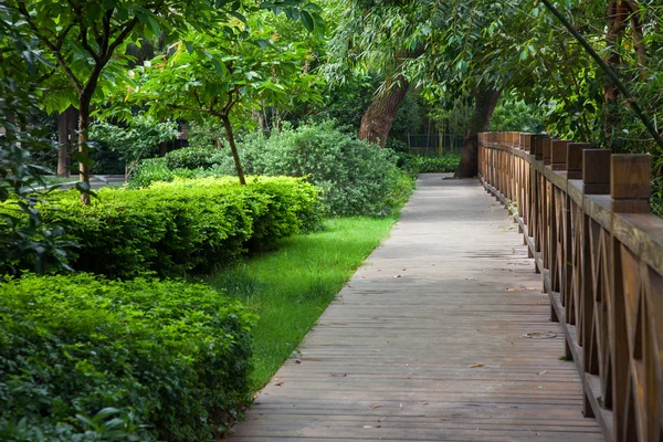 Trä gångväg tänkte trädgård — Stockfoto