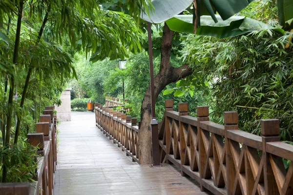 Wooden footbridge throught garden — Stock Photo, Image
