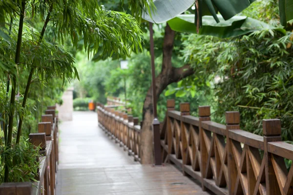 Wooden footbridge throught garden — Stock Photo, Image