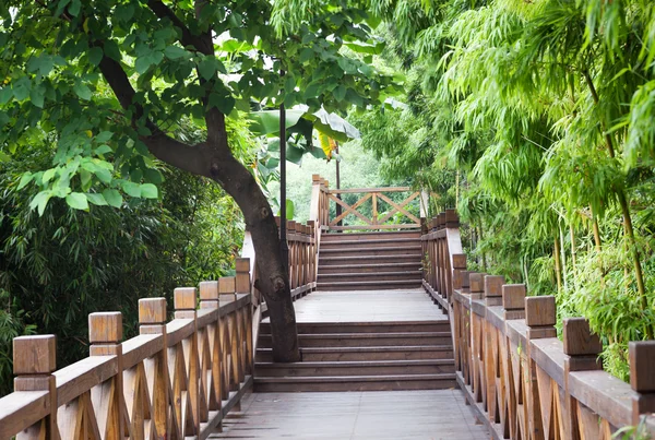 Ogród bambusowy przez drewniany mostek — Zdjęcie stockowe