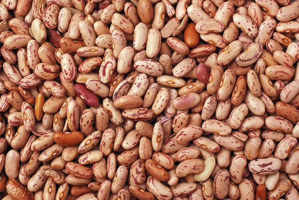 Beans texture — Stock Photo, Image