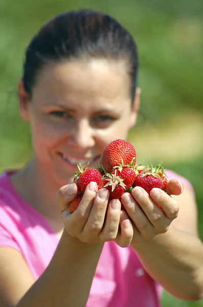 stock image Fresh picked strawberries