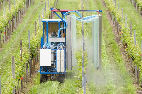 Pulverización vides de uva en el viñedo — Stockfoto