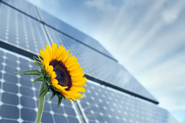 Girassol e painéis solares com luz solar — Fotografia de Stock
