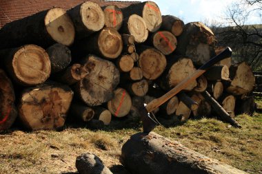 Firetree - logs clipart
