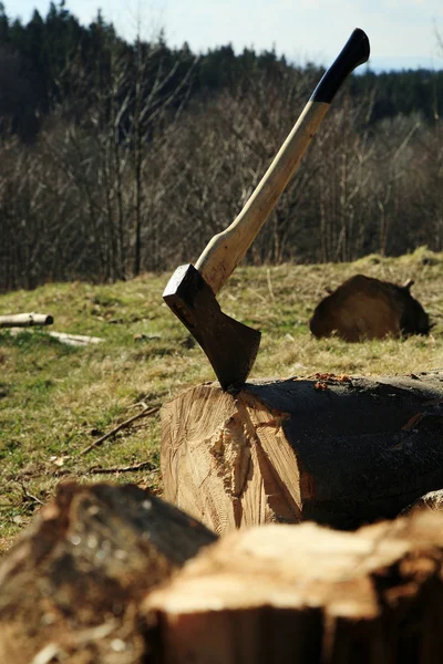 Оборудование для лесозаготовок - топор — стоковое фото