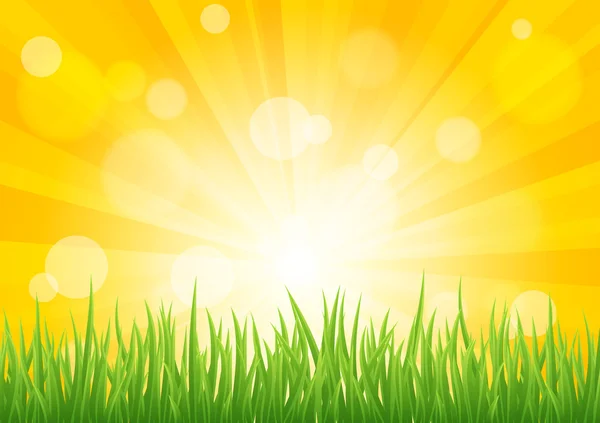 Bright vector sun effect with green grass field — Stock Vector
