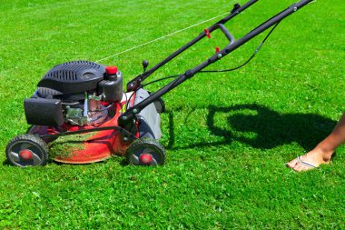 Lawn mower clipart