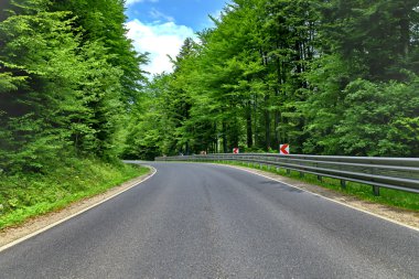 Winding curve road in a beech green forest clipart