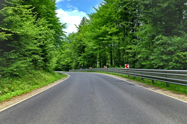 Estrada curva de enrolamento em uma floresta verde faia — Fotografia de Stock