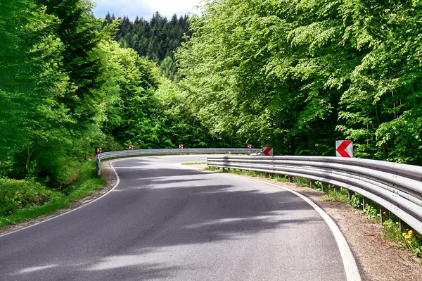 Kronkelende weg van de curve in een groen bos — Stockfoto