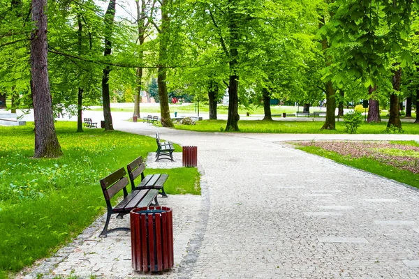 Avenue i den gröna parken — Stockfoto