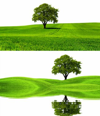 Green nature environment clipart