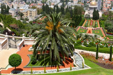 Gardens in Haifa Israel clipart