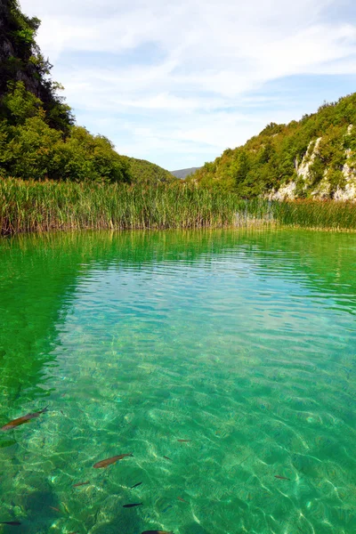 Nationalpark Plitvicer Seen — Stockfoto