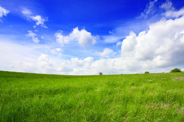 蓝天背景上的田野 — 图库照片