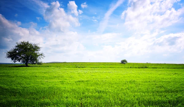Eco gröna landskap — Stockfoto