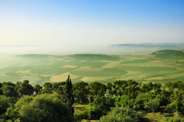 stock image Morning mountain landscape