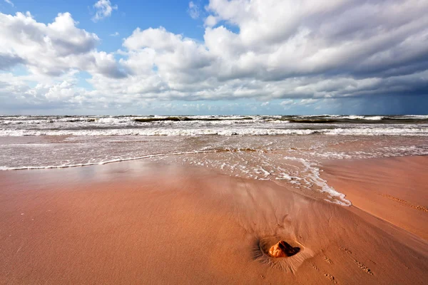 Praia e mar — Fotografia de Stock