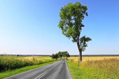 Summer country road clipart