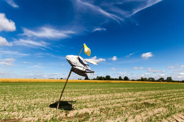 stock image Agricultural field