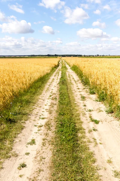 Agricultural field — Stock Photo, Image