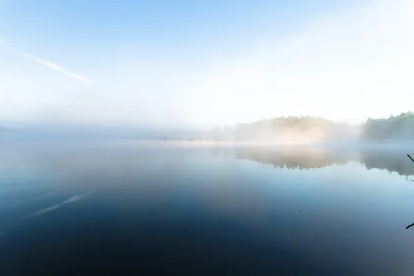 stock image Fon on lake