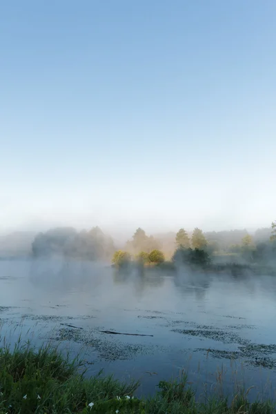 stock image Fon on lake