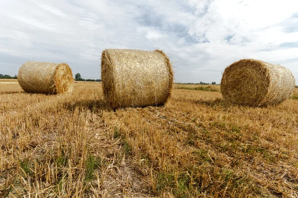 stock image Straw bales