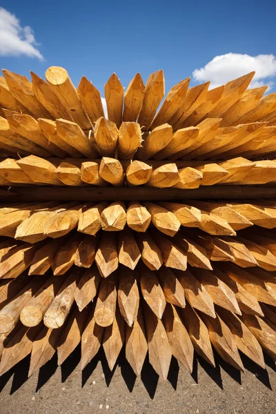 stock image Wood