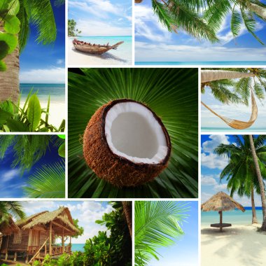 Tropic mix clipart