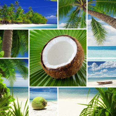 Tropic mix clipart