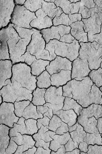 Dry, cracked soil background — Stock Photo, Image