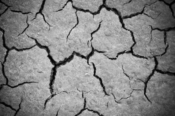 Dry, cracked soil background — Stock Photo, Image