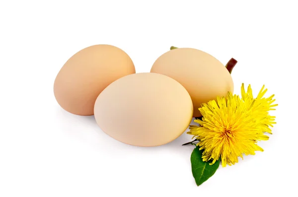 Eggs with dandelions — Stock Photo, Image