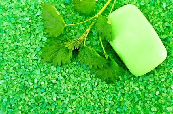 Salz des Grüns mit Seife und Brennnesseln — Stockfoto