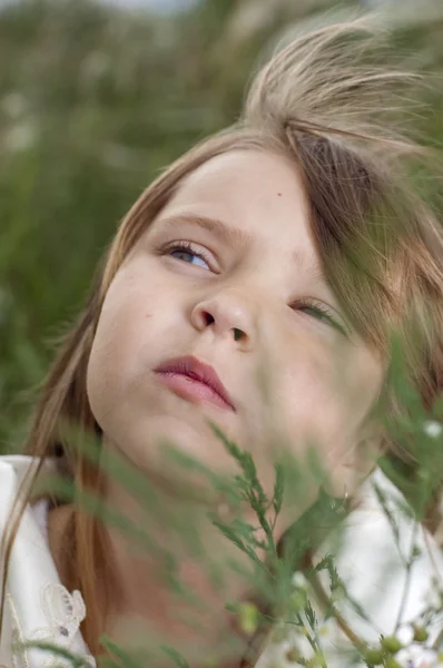 Porträt des schönen kleinen Mädchens mit den Feldblumen — Stockfoto