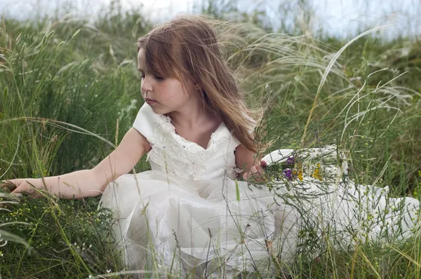 Cuento de hadas hermosa niña en un césped con la flor del campo — Foto de Stock