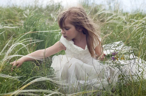 Сказочно красивая маленькая девочка на лавке с полевым цветком — стоковое фото
