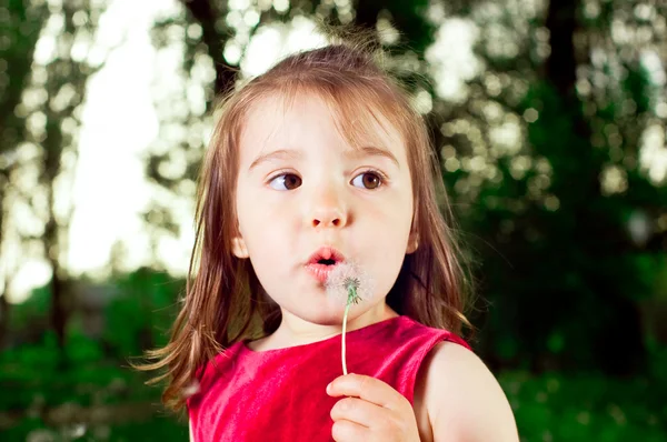 Jeune fille soufflant des graines d'une fleur de pissenlit — Photo
