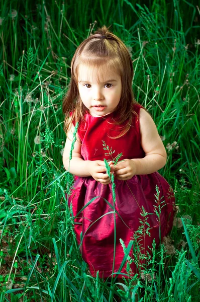 Çimenlerin üzerinde genç kız — Stok fotoğraf