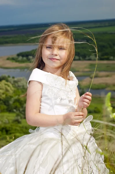 Piękne dziewczyny w strojach panny młodej na polu z pola — Zdjęcie stockowe