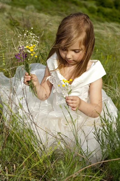 Hermosa chica en la ropa de novia en el campo con el fie —  Fotos de Stock