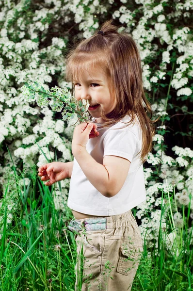 Menina em um fundo um arbusto com flores brancas — Fotografia de Stock