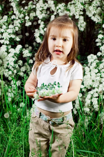 Liten flicka på en bakgrund en buske med vita blommor — Stock fotografie